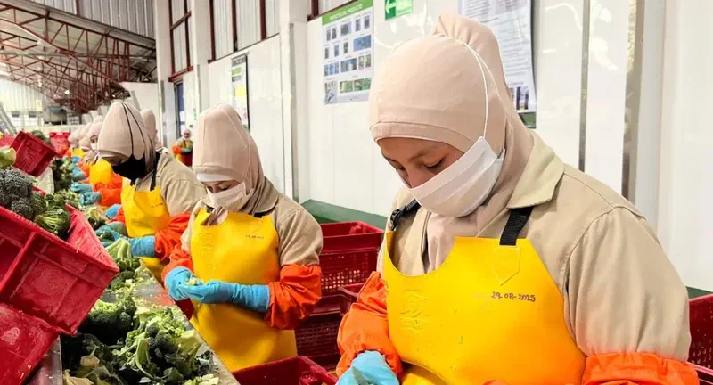Trabajadoras con mascarilla preparan productos en un puesto de alimentos.